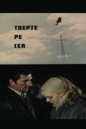 Постер: Steps in the Sky