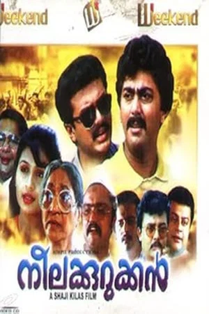 Постер: Neelakurukkan