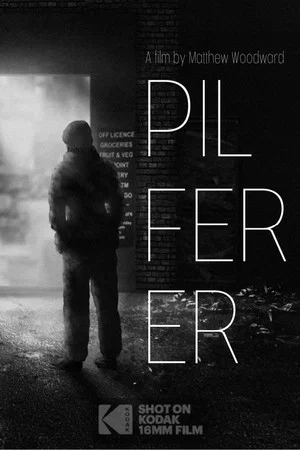 Постер: Pilferer