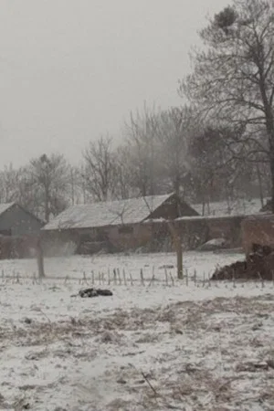 Постер: Attacking Zhanggao Village