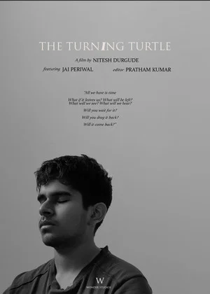 Постер: The Turning Turtle