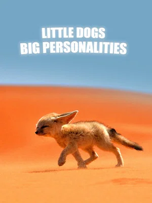 Постер: Little Dogs, Big Personalities