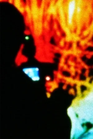 Постер: Rhizomatic Directed Simulation