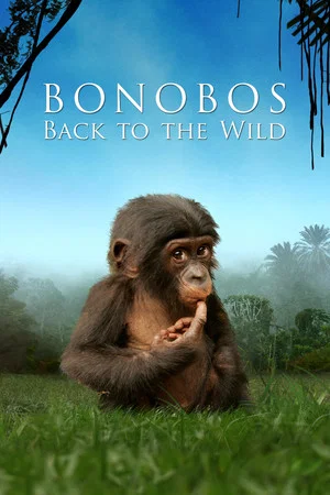 Постер: Bonobos: Back to the Wild