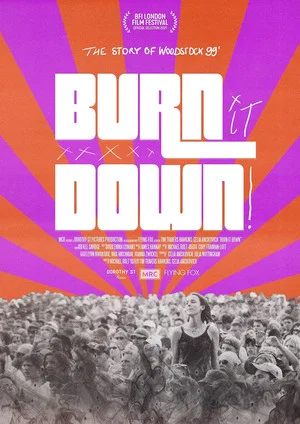 Постер: BURN IT DOWN!