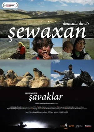 Постер: The Last Season: Shawaks