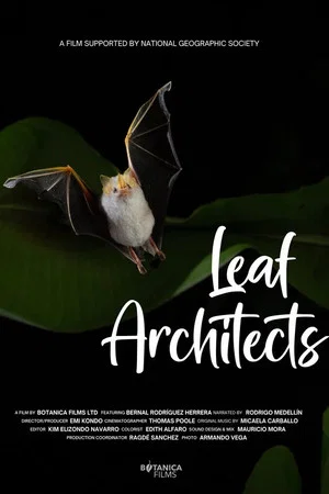 Постер: Leaf Architects