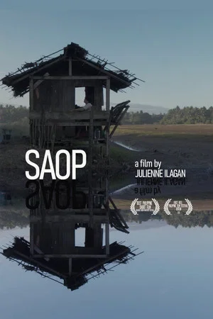 Постер: Saop