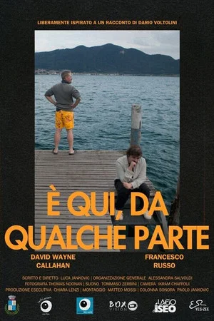 Постер: È qui, da qualche parte