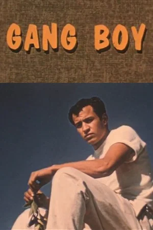 Постер: Gang Boy