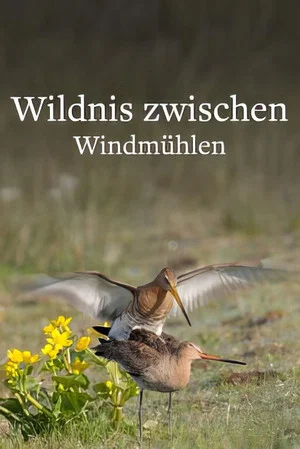 Постер: Wildlife in Windmill Country