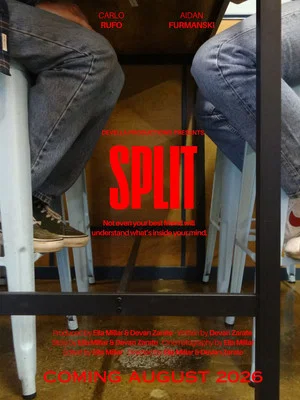 Постер: Split