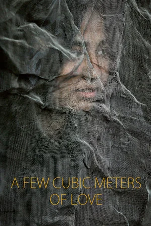 Постер: A Few Cubic Meters of Love