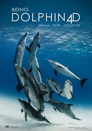 Постер: Being Dolphin 4D