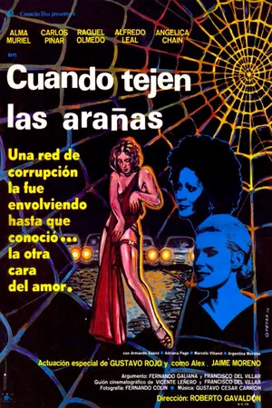 Постер: Cuando tejen las arañas