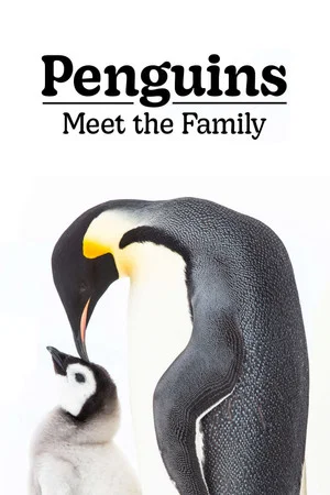 Постер: Penguins: Meet the Family