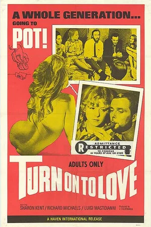 Постер: Turn On to Love