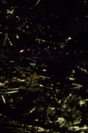 Постер: Short Films 1975: #9 (Forest Love Scene)