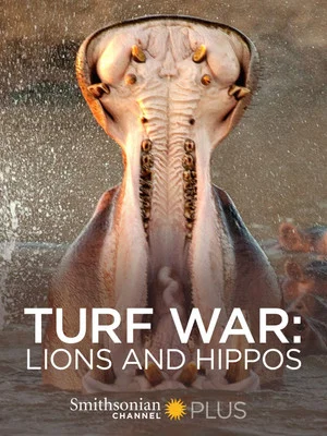 Постер: Turf War: Lions and Hippos