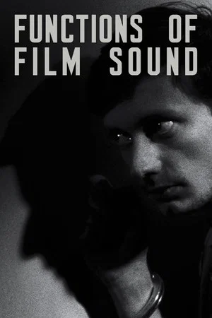 Постер: Functions of Film Sound