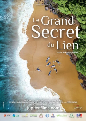 Постер: Le Grand Secret du lien