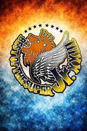 Постер: NJPW Best of the Super Junior 23 - Day 14 (Final)