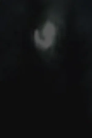 Постер: Moonlight