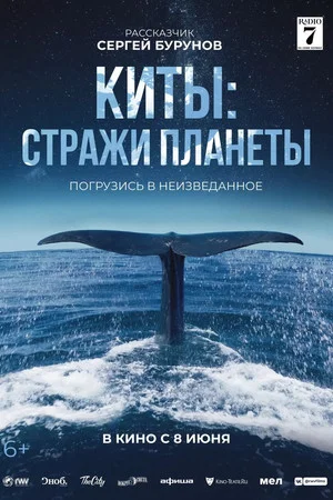 Постер: Киты: Стражи планеты