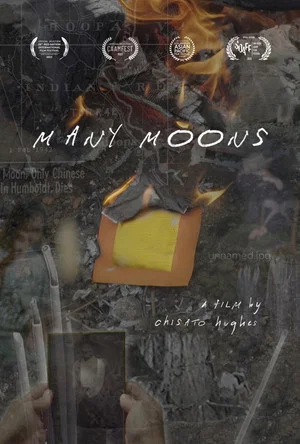 Постер: Many Moons