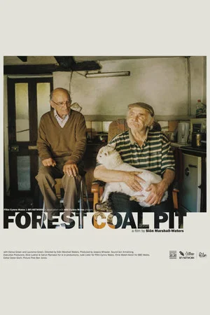 Постер: Forest Coal Pit