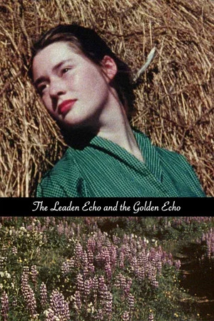 Постер: The Leaden Echo and the Golden Echo