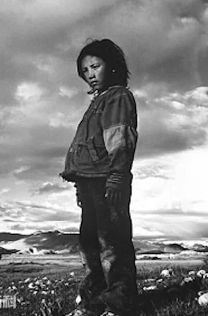 Постер: The Temptation of Tibet