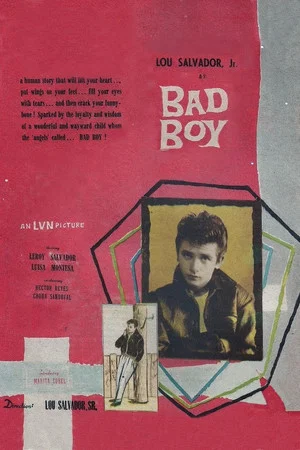 Постер: Bad Boy