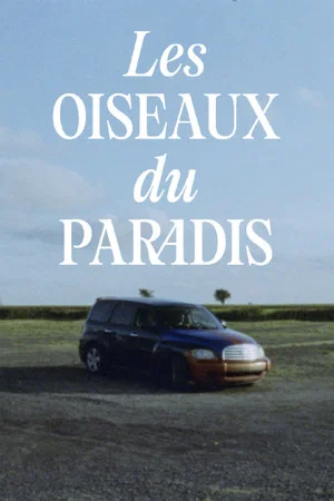 Постер: Les oiseaux du paradis