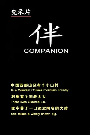 Постер: Companion