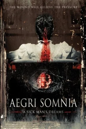 Постер: Aegri Somnia