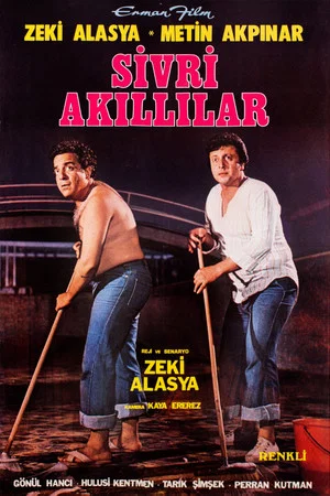 Постер: Sivri Akıllılar