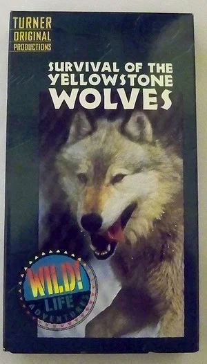 Постер: Survival of the Yellowstone Wolves