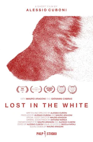 Постер: Lost in the White