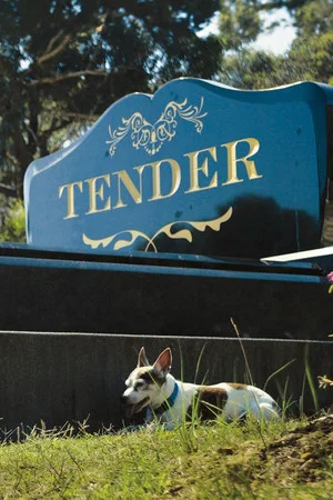 Постер: Tender