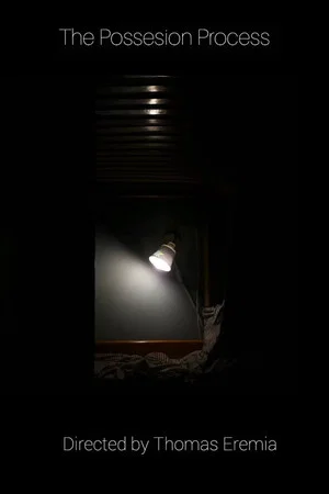 Постер: The Possession Process