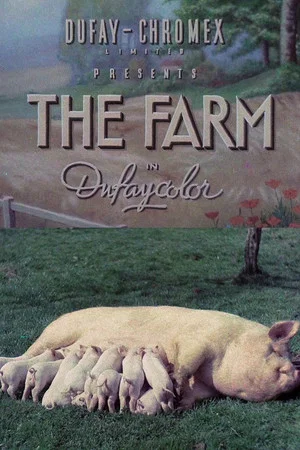 Постер: The Farm