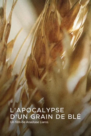 Постер: L'apocalypse d'un grain de blé
