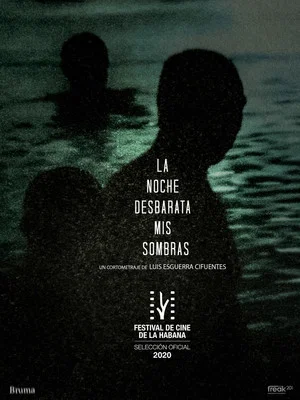 Постер: La Noche Desbarata mis Sombras