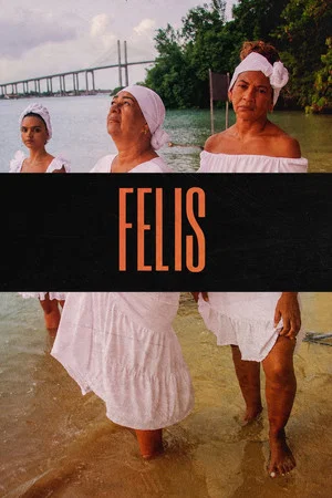 Постер: Felis