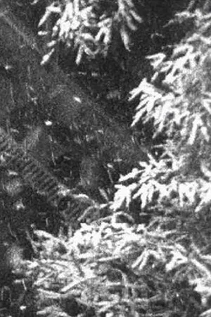 Постер: Schneefall