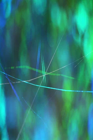 Постер: Illusive Echoes