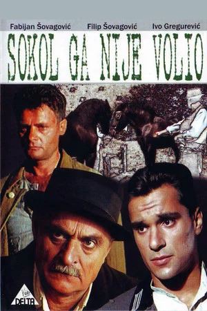 Постер: Sokol Did Not Love Him