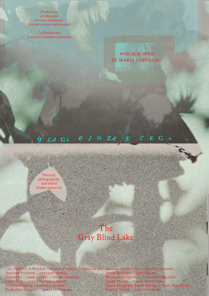 Постер: The Gray Blind Lake