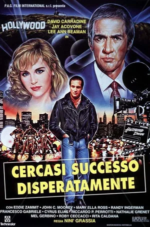 Постер: Desperately Looking For Success
